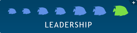 Leadership