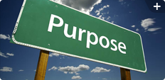 Our Purpose